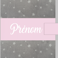 Carnet sante personnalise gris etoile blanche et rose