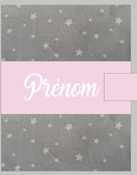 Carnet sante personnalise gris etoile blanche et rose