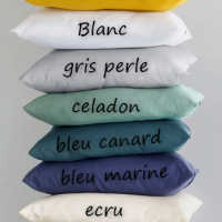 Coloris coussin 1