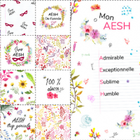 Lingette aesh