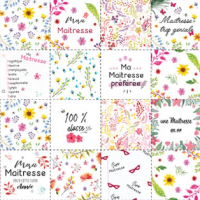 Lingettes maitresse 1 