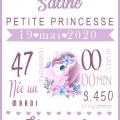 Toile licorne mauve