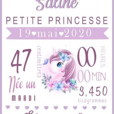 Toile licorne mauve