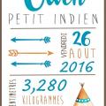 Toile Tipi indien